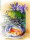 AWT IMAGE